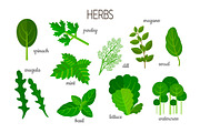 Vitamin and mineral vector concept, a Graphic by Mallinka (Thumbnail 4 of 5)