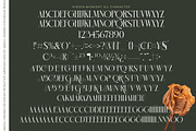 Hidden Midnight Modern Elegant Serif, a Serif Font by timelesstype.co (Thumbnail 10 of 10)