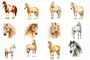 Watercolor Horse Clipart, an Illustration by Designworld (Thumbnail 3 of 8)