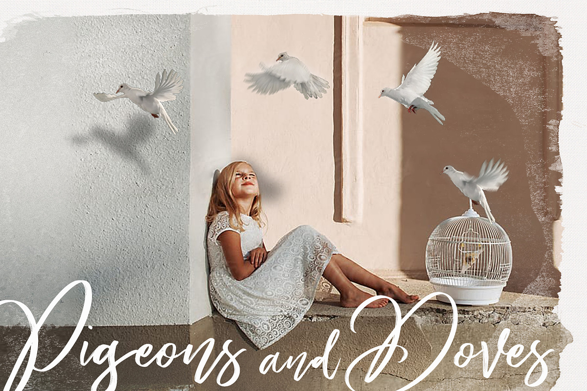 70 Birds Photo Overlays PNG, a Plug-in Add-On by ZephyrDigital (Photo 1 of 4)