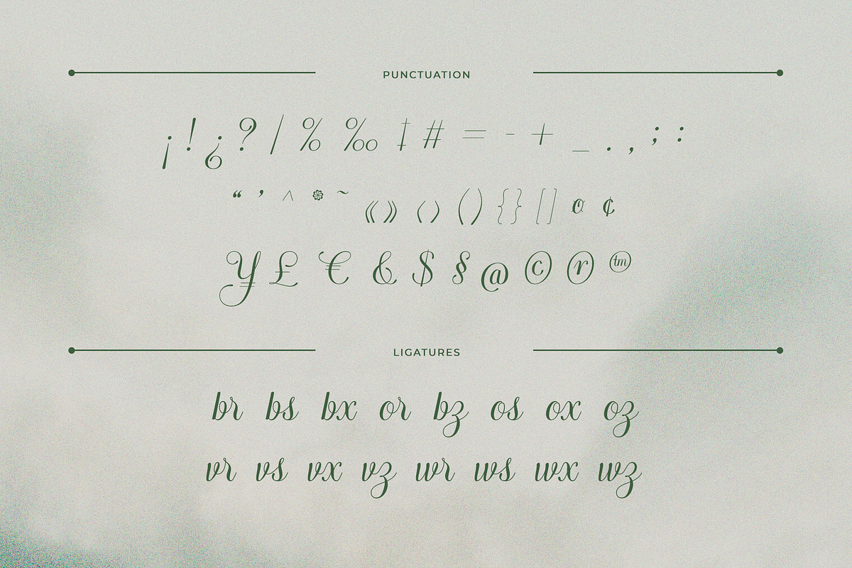 Arachis – Elegant & Modern Script, a Script Font by Almeera Std (Photo 8 of 10)
