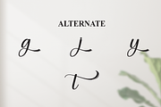 Agatha | Script Font, a Handwritten Font by Scratchones (Thumbnail 8 of 9)