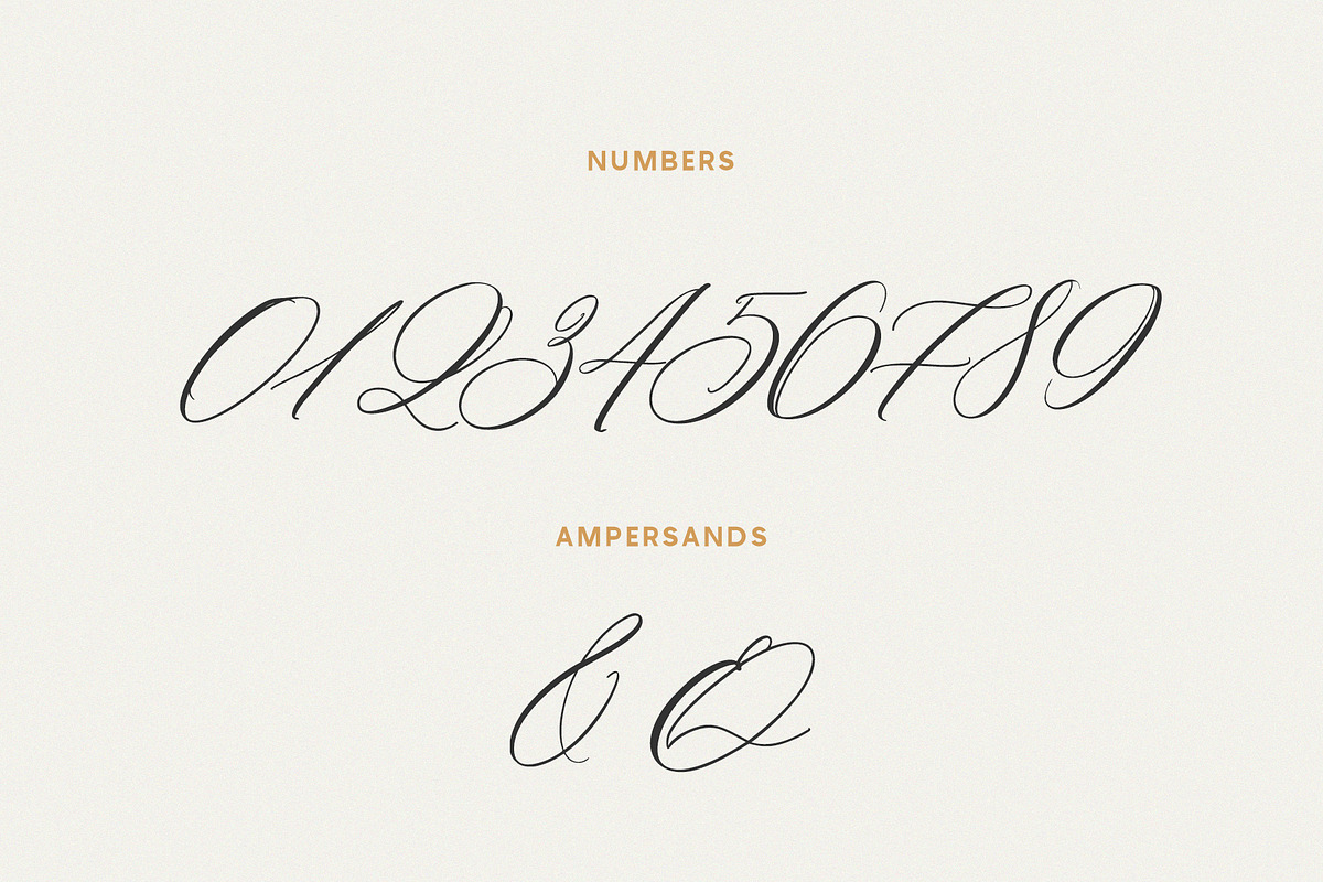 Saint Viet | Calligraphy Font, a Script Font by Calamar Studio (Photo 14 of 29)