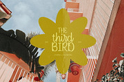 Serendipity Script Calligraphy Font, a Script Font by Paridisce Creative (Thumbnail 4 of 8)