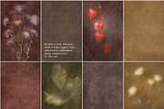 Lull · Brown Botanical Autumn Series, a Background Graphic by alonahaidash (Thumbnail 11 of 16)