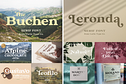 Elegant Serif Font Bundle, a Serif Font by Larin Type Co. (Thumbnail 15 of 15)