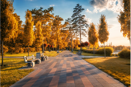 Beautiful park in Bucha, Ukraine, a Nature Photo by den-belitsky