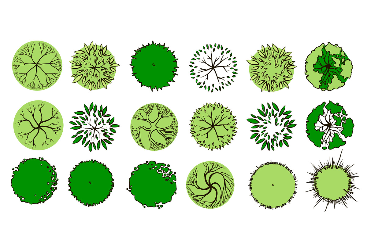 Set of graphic trees, top view, an Illustration by Lina_Lisichka (Photo 5 of 5)