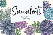 Succulents. Vector flowers, a Decorative Illustration by irina.vaneeva (Thumbnail 1 of 5)