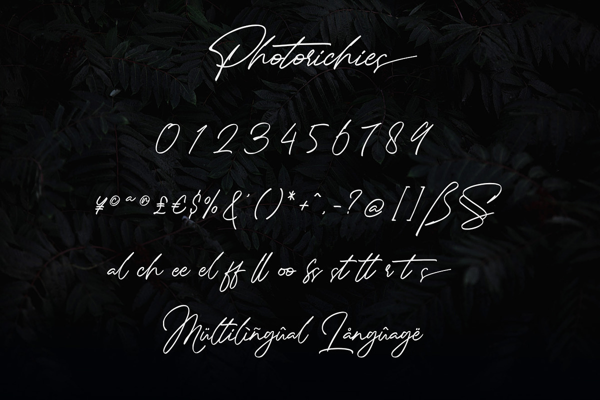 Photoricies - Photographer Script, a Script Font by Almarkhatype (Photo 12 of 14)