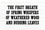 Rustic Spring - Modern Slab Serif, a Slab Serif Font by Pian45 Studio (Thumbnail 3 of 6)