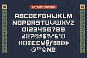 Saylery Typeface, a Sans Serif Font by 24Design Studios (Thumbnail 7 of 9)