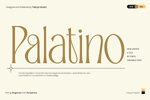 TBJ Palatino San serif With Serif, a Serif Font by Taboja Studio