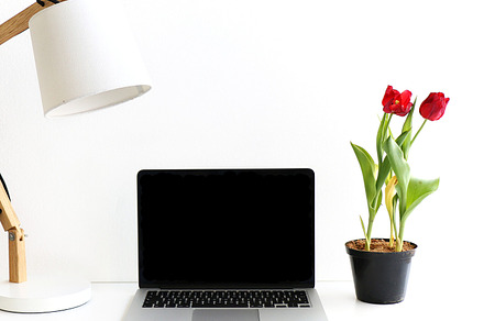 Styled Stock | Tulips & Macbook