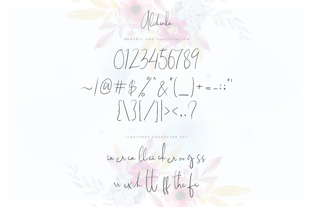 Alchemila Script, a Script Font by Chocotype Std (Photo 14 of 16)