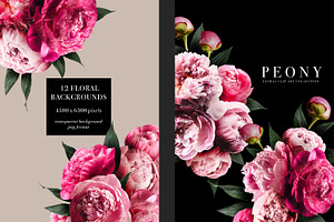 Peony Floral Clip Art