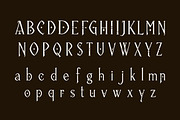 Primordial, a Script Font by Art StoreID (Thumbnail 4 of 10)