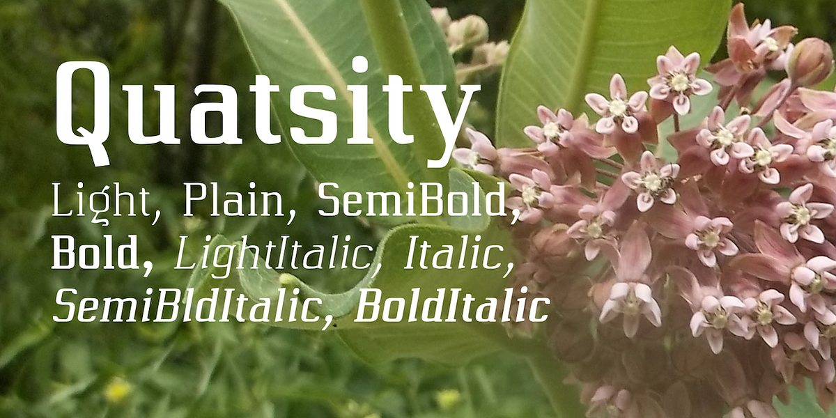 Quatsity, a Serif Font by Ingrimayne Type (Photo 1 of 8)