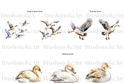 Watercolor Goose Clipart, Cute Geese, an Animal Illustration by BrushstrokeArtGB (Thumbnail 4 of 9)