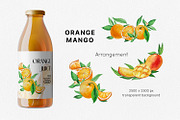 Watercolor - Orange and Mango, a Decorative Illustration by bylin_illustration (Thumbnail 3 of 6)