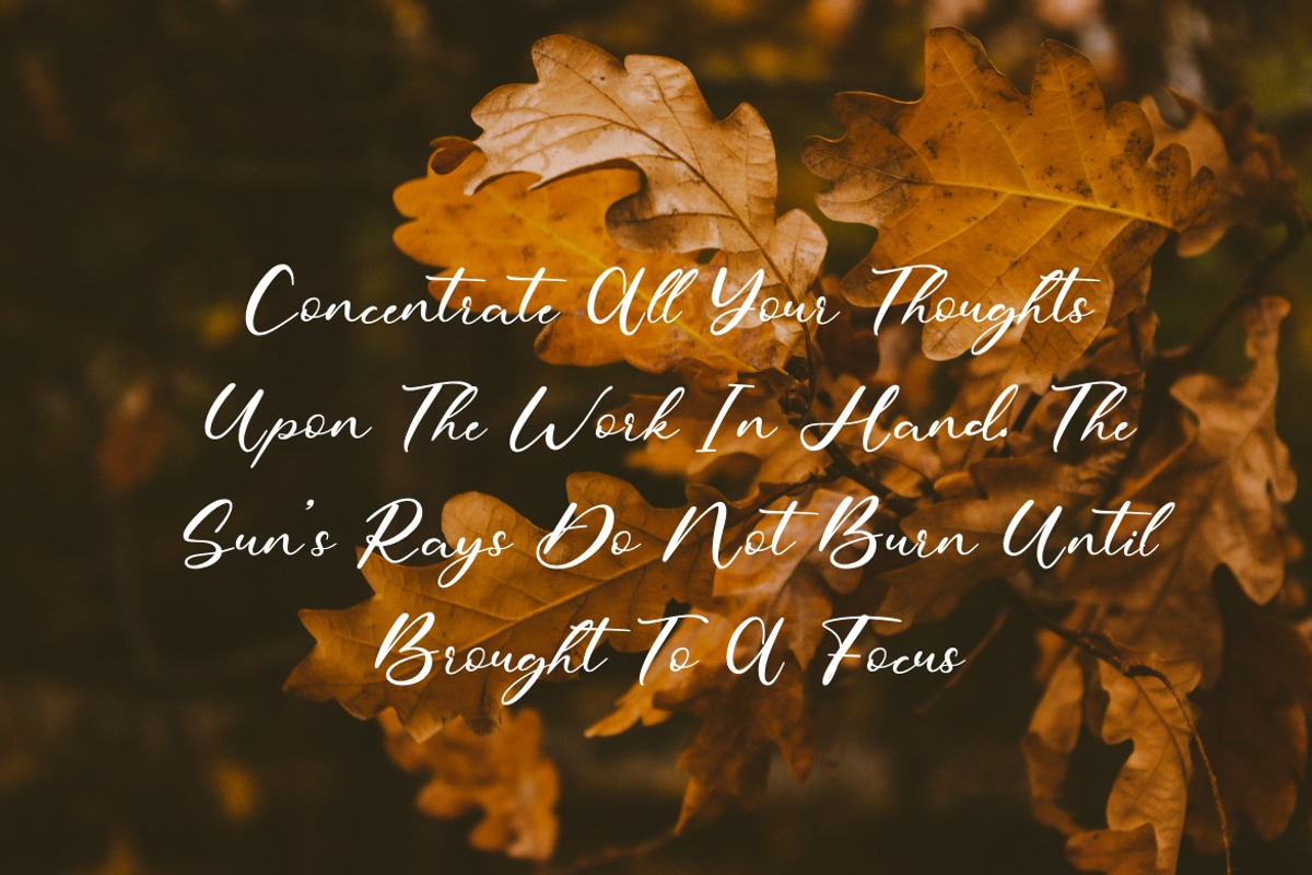 Fratulsiv - Luxury Script Font, a Script Font by Dhabee (Photo 15 of 15)