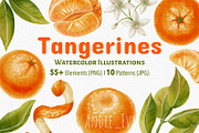 Tangerines — Watercolor Illustration, a Food Illustration by Andre_Eva (Thumbnail 1 of 11)