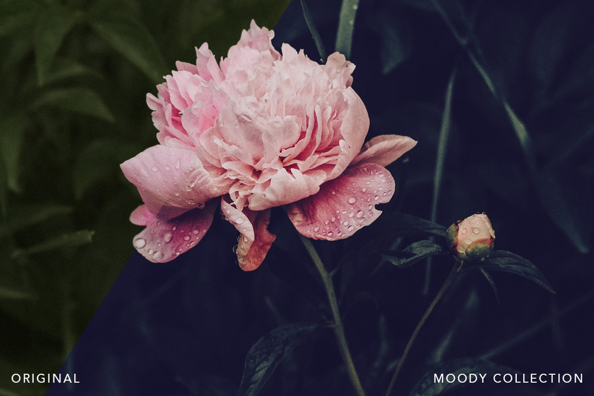 Moody presets for Lightroom + mobile, an Action Add-On by BeArt-Presets (Photo 11 of 18)