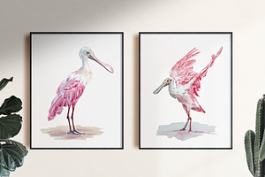 Roseate Spoonbill - Watercolor Print