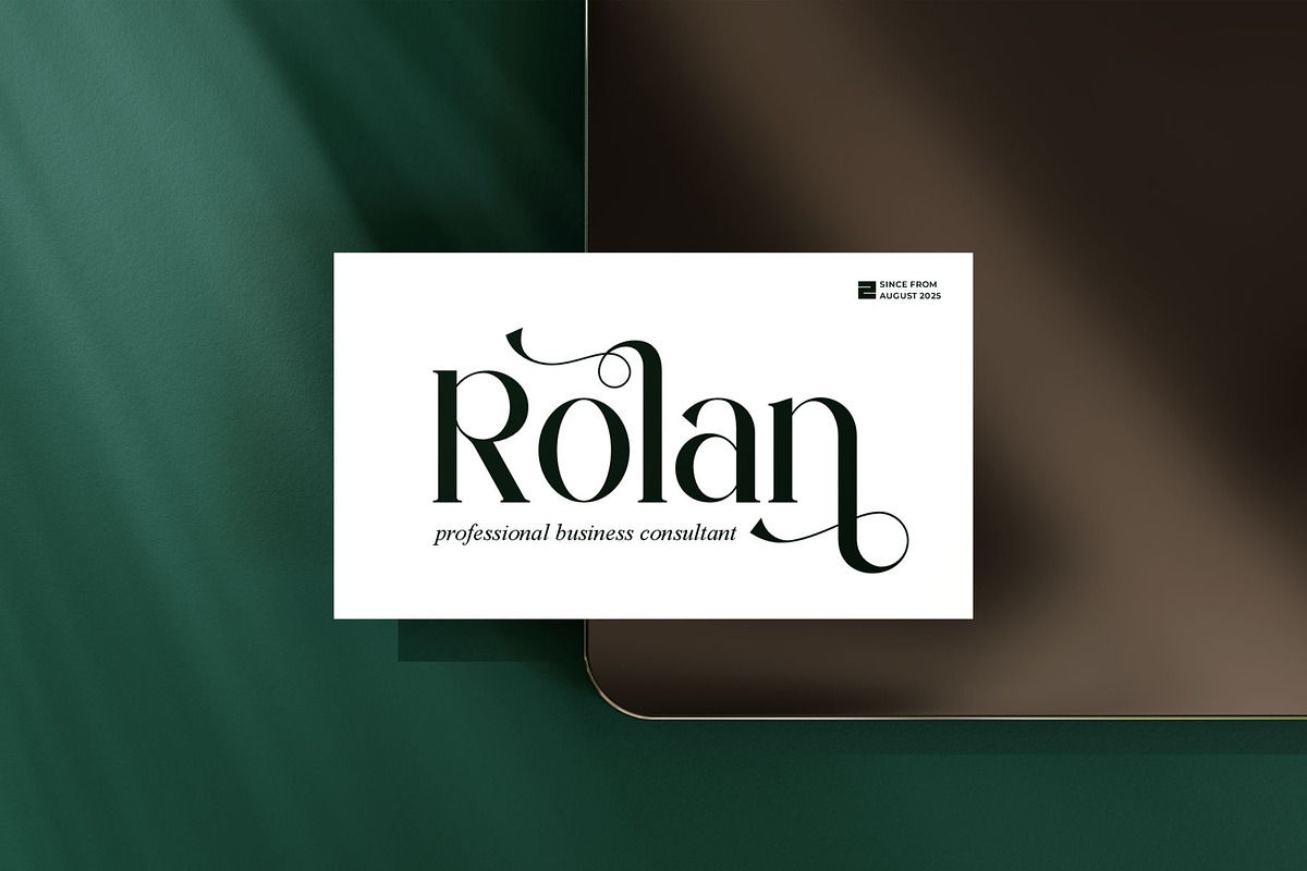 Beldin || Modern Classy Serif Font, a Serif Font by Ermedia Studio (Photo 5 of 10)