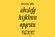 Beachwalk | Elegant Retro Serif, a Serif Font by Muntab_Art (Thumbnail 13 of 13)