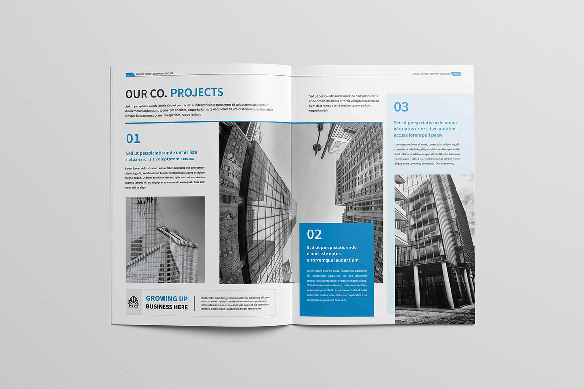 Annual Report Brochure, a Brochure Template by New Lines (Photo 13 of 13)