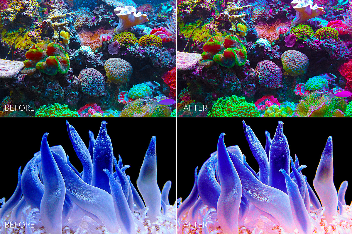 Barrier Reef Lr Presets, an Action Add-On by PandoraDreams (Photo 4 of 7)