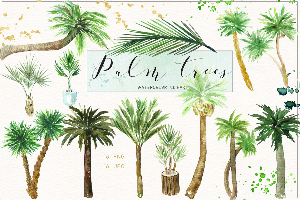 Palm tree. Watercolor clipart., an Illustration by LABFcreations (Photo 1 of 5)