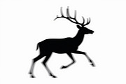 Majestic Deer Antler Collection, an Illustration by Designs_River (Thumbnail 6 of 7)