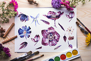 Watercolor Flowers Pack, an Illustration by 2dsight (Thumbnail 4 of 5)