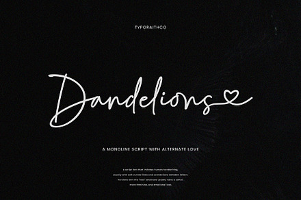 Dandelions | Monoline Script