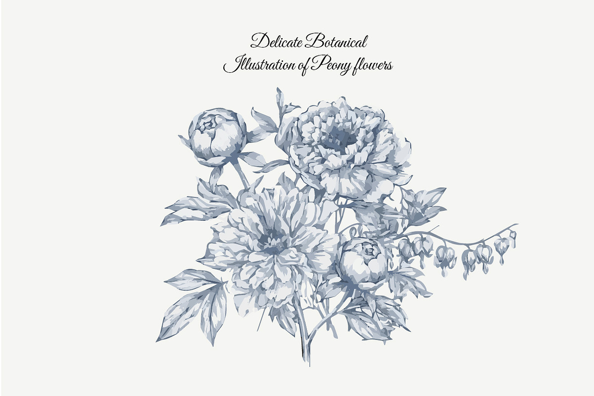 23 Collection - Peony Flowers, an Illustration by By_Pedram (Photo 2 of 6)