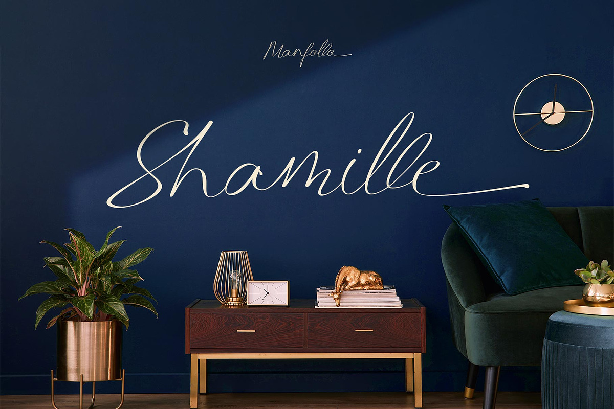 Manfollo Modern Script, a Script Font by alit design (Photo 2 of 15)