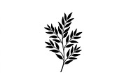 Eucalyptus Leaf Branch Collection, an Object Graphic by Designer_Momina (Thumbnail 2 of 3)