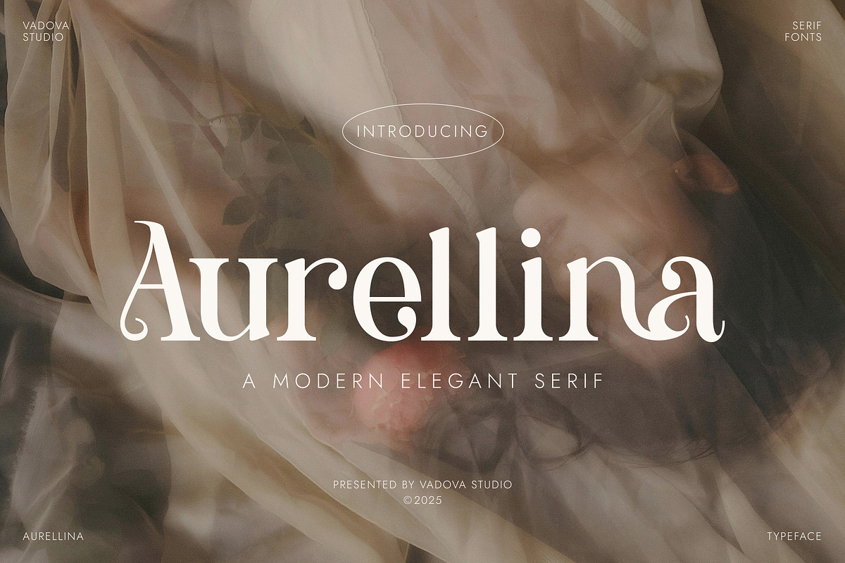 Aurellina Modern Elegant Serif, a Serif Font by Vadovastd (Photo 1 of 7)