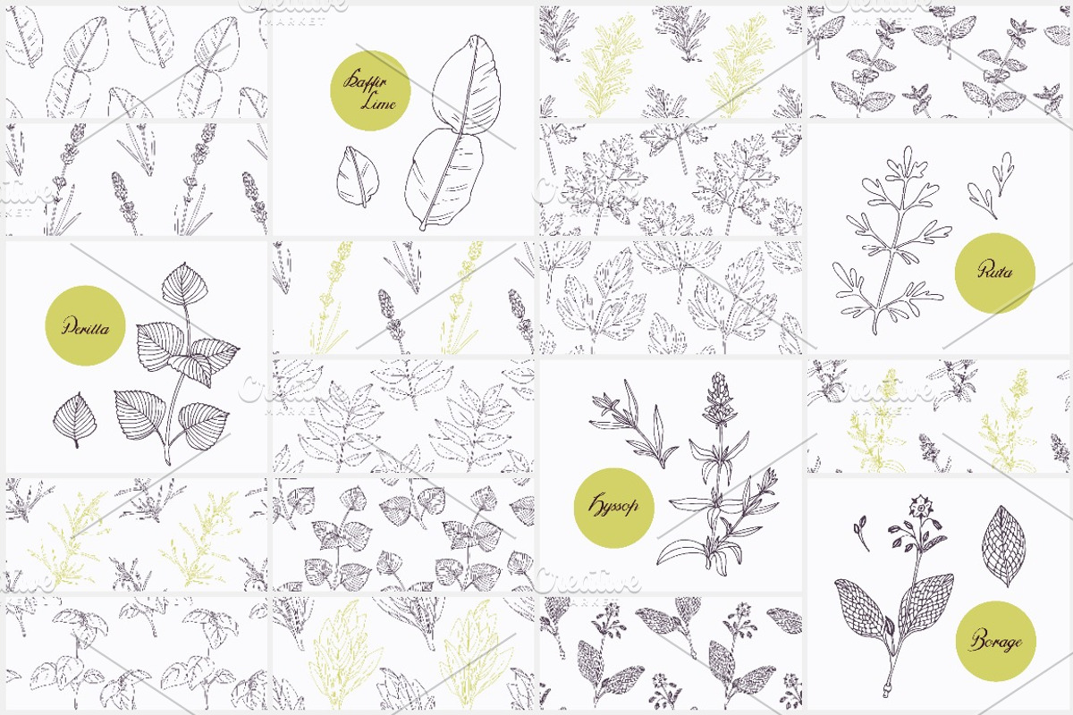 Herbs & Spices Big Bundle, a Food Illustration by Zhemchuzhina (Photo 8 of 9)