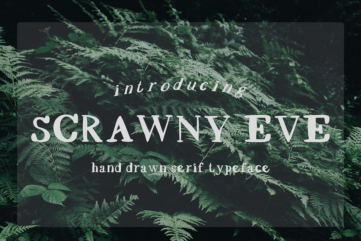 SCRAWNY EVE Hand Drawn Serif preview 3