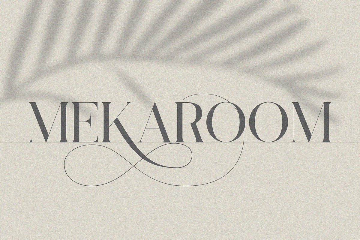 Lostgun Plus | Stylish Typeface, a Serif Font by Qaratype (Photo 10 of 20)