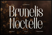 Brunelis Noctelle Display Serif Font, a Handwritten Font by gracetype_studio (Thumbnail 1 of 12)