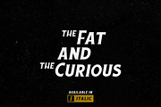 Chuck Noon Family, a Sans Serif Font by Twicolabs Fontdation (Thumbnail 7 of 16)