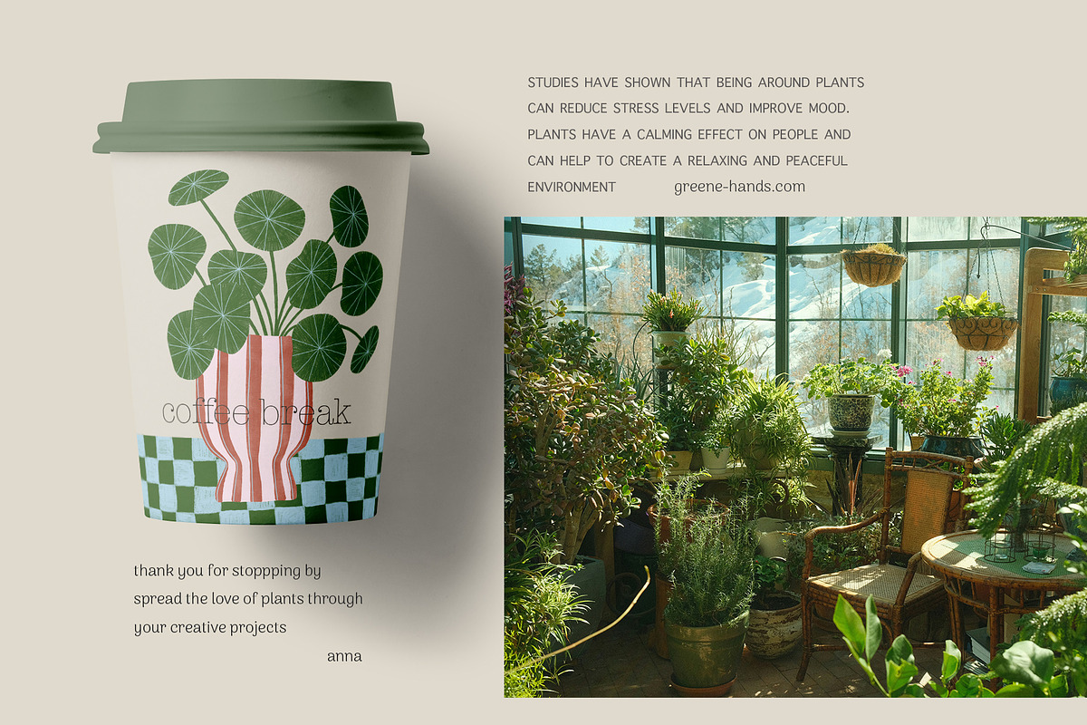Peperomia - eclectic houseplants, an Illustration by Annakniaz (Photo 14 of 14)