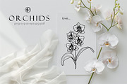 Ochid flowers Line art svg, an Object Graphic by Dervik Art Store (Thumbnail 6 of 9)