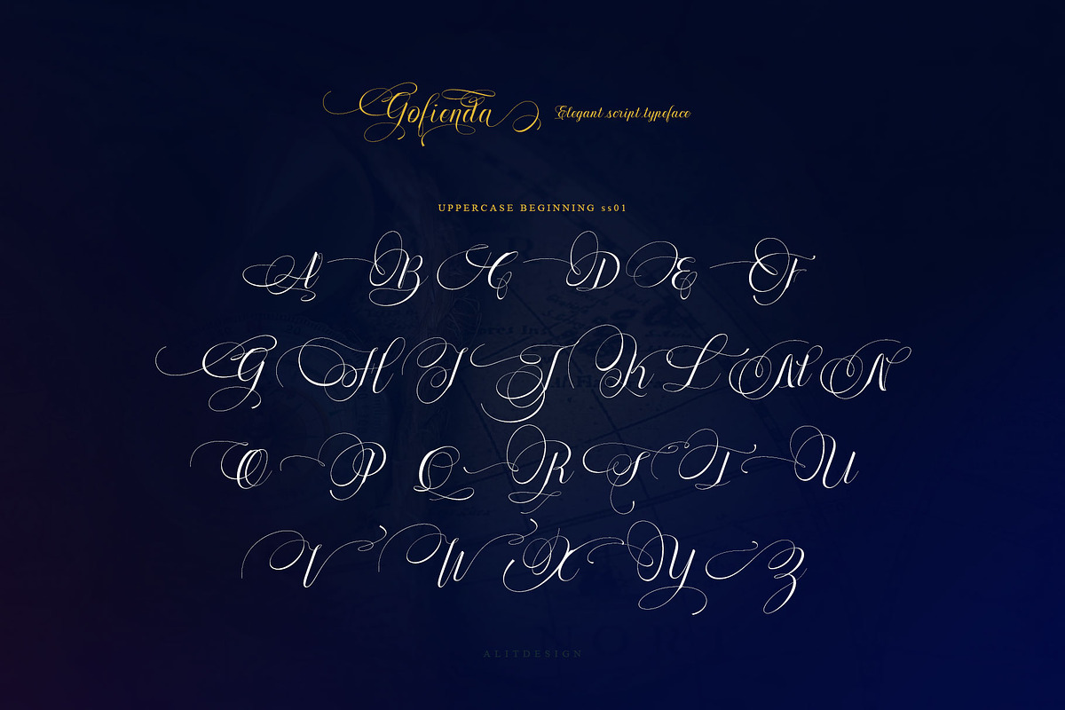 Gofienda, a Script Font by alit design (Photo 5 of 17)