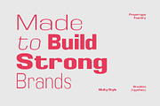 Braskion, a Sans Serif Font by Propertype (Thumbnail 9 of 15)
