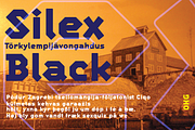 Silex, a Sans Serif Font by Our House Graphics Inc. (Thumbnail 10 of 11)